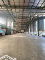 Cho Thuê Kho 1500M2 Ở Kcn Đức Hòa Hạ. Khuôn Viên Lớn, Có Pccc Tự Động, Điện Hạ Thế