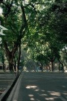 Bán Nhà Phố Phan Đình Phùng, Ba Đình, Siêu Hiếm, Đầu Tư,Diện Tích40M2 * 5 Tầng * Giá Bán 10.5 Tỷ