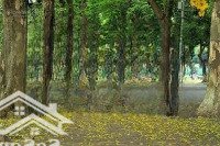 Bán Nhà Phố Phan Đình Phùng, Ba Đình, Siêu Hiếm, Đầu Tư,Diện Tích40M2 * 5 Tầng * Giá Bán 10.5 Tỷ