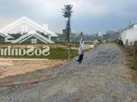 Bán Đất Tại Sò Đo Thị Trấn Hậu Nghĩa, Đức Hòa, Long An, Giá Siêu Hời 890 Triệu, 100M2