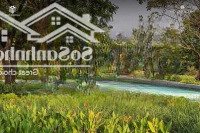 Nhà Phố Soho Mặt Công Viên Giá Bán 32 Tỷ Rẻ Nhất Giỏ Hàng