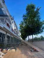 Shophouse Ân Phú 1 Trệt 2 Lầu Gần 300M2, Trục Đường 32M Ngay Trung Tâm Hành Chính Mới Buôn Ma Thuột