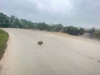 Nhanh Thì Còn Ạ Chỉ Hơn Tỷ 61M2 Đất Mặt Đường Nhựa 20M Liên Huyện Tuyến Xe Bus Chạy Ngày Đêm