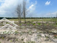 Cho Thuê Đất Có Gpxd Trong Kcn An Phước 2 Mặt Tiền - Mật Độ Xây 35.000M2 Kinh Doanh Mọi Loại Hình