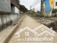 Bán Nhanh 176M2 Lô Góc (Võng Ngoại) Võng Xuyên - Phúc Thọ - Hà Nội