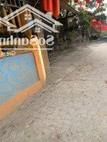Bán Nhanh 176M2 Lô Góc (Võng Ngoại) Võng Xuyên - Phúc Thọ - Hà Nội