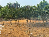Sở Hữu Ngay Lô Đất Đẹp Cao Sơn, Đất Nghỉ Dưỡng Ven Đô, View Cao Thoáng, Thu Hút Nhiều Nhà Đầu Tư.