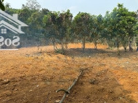 Sở Hữu Ngay Lô Đất Đẹp Cao Sơn, Đất Nghỉ Dưỡng Ven Đô, View Cao Thoáng, Thu Hút Nhiều Nhà Đầu Tư.