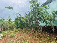 1,3Ha Có 300 Thổ Cư Đường Nhựa, Vườn Trái Cây + Nhà C4 View Suối