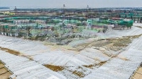 Sở Hữu Căn Nhà Đẳng Cấp Tại Phân Khu Quý Tộc - Qt-62