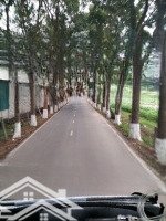 Bán Đất 58M2 Tại Quốc Lộ 23, Xã Đại Thịnh, Mê Linh, Hà Nội, Giá Ưu Đãi 4,1 Tỷ