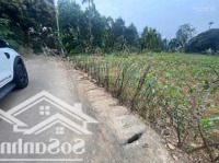 Đất Xưởng, Giáp Trục Chính Đường Nhựa Phú Mãn, Sẵn Sổ Hồng, Chủ Cắt Lỗ Bán Giá Siêu Rẻ 10, Xtr/M2