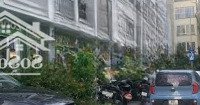 Bán Btlk 80M2 Tại Iris Garden, Trần Hữu Dực - Đối Diện Trường Vin, Giá Nhỉnh 20 Tỷ Vnđ