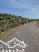 Cần Bán 3000M2 Có Nhà Và Vườn Cây Ăn Trái Xã Phước Tân Xuyên Mộc Có 75M Mặt Tiền Đường Nhựa