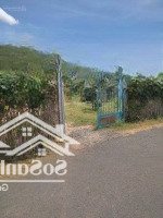 Cần Bán 3000M2 Có Nhà Và Vườn Cây Ăn Trái Xã Phước Tân Xuyên Mộc Có 75M Mặt Tiền Đường Nhựa