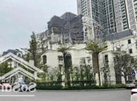 Hàng Hiếm, Bt The Zei Trung Tâm Mỹ Đình, 290 Triệu/M2, 350M2, Nhận Nhà Ngay, Sẵn Sổ Liên Hệ: 0947057985
