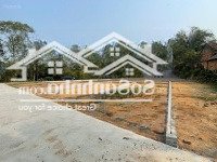 Chỉ Với 480 Triệu, Sở Hữu Ngay Lô Đất Giá Rẻ Đường To 8M