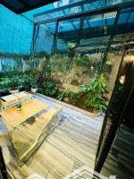 Cần Bán Gấp Căn Ngọc Trai Xẻ Khe 75M Hướng Bắc Full Nội Thất Tại Vinhomes Marina Hải Phòng