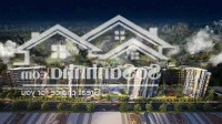 Chỉ 64 Triệu/M2 (Bao Gồm Hết Chi Phí) Anh Chị Có Thể Sở Hữu Ngay Căn Diammond Centery 3Pn- 3 Vệ Sinhnhà Cđt