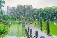 Căn Hộ Diamond Century Celadon City Tân Phú - Đẳng Cấp Thượng Lưu - Chỉ Thanh Toán 20% Nhận Nhà.