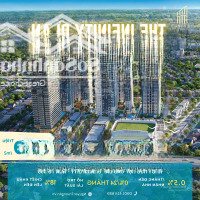 Giá Căn Hộ Sơ Cấp Tại Bình Dương Sẽ Chạm Mốc 70 Triệu/M2? The Infinity Di An Đang Chỉ Với 39 Triệu