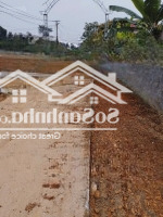 Đất Nền Ven Khu Công Nghiệp Lam Sơn Sao Vàng