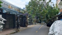 Bán Nhà Mặt Phố 60M2, 5,05 Tỷ Tại Đường 8E, Phước Hải, Nha Trang, Khánh Hòa, Đẹp