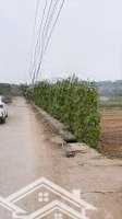 Chính Chủ Bán Nhanh Lô Đất Ngay Đường Duyên Hải Xã Quảng Lộc, Huyện Quảng Xương, Thanh Hóa