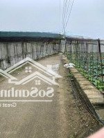 Chính Chủ Bán Nhanh Lô Đất Ngay Đường Duyên Hải Xã Quảng Lộc, Huyện Quảng Xương, Thanh Hóa