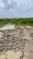 Bán Gấp Đất 30X110M ,627M Đất Lâu Năm,Gần Đường Nhựa,Giá Chỉ 380 Triệu/Công,Cơ Hội Đầu Tư Tốt