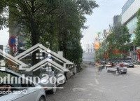 Bán Nhà Phố Lê Trọng Tấn, Thanh Xuân 70M2 5 Tầng Vị Trí Vàng, Kinh Doanh Đỉnh, Rẻ Nhất Phố 44,5 Tỷ