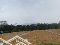 Bán Đất Nền 3300M2 Tại Yên Bình, Giá Thỏa Thuận