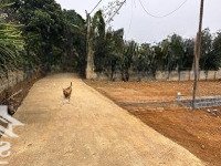 Siêu Phẩm 110M2 Gần Điểm Xuống Metro Văn Cao Hoà Lạc, 0966212115 Em Hoàng