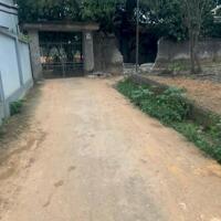 Đầu tư đất nền Thanh Ba, Phú Thọ 700m x 15m Ô Tô chỉ 6,4 tỷ.