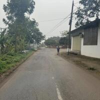 Đầu tư đất nền Thanh Ba, Phú Thọ 700m x 15m Ô Tô chỉ 6,4 tỷ.