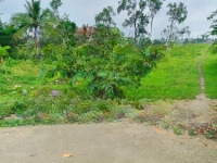 Bán Lô Đất Trục Chính Thôn Mai Chữ Xã Đông Nam Tp Thanh Hoá, 8 Triệu/M2