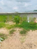 Chính Chủ Lô Đất 170M2 Shr Cách Biển Tân Thành 1Kmmặt Tiềnđ.huyện 3 - Bình Nghị - Gò Công Đông 1Tỷ 500 Triệu