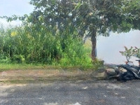 Chính Chủ Bán 120M2 Đất 500 Triệu, Đ. Nguyễn Trung Trực-P.8-Mỹ Tho,Kế Bên Trường Mầm Non Tương Lai, Shr