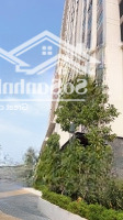 Mua - Bán - Chuyển Nhượng Căn Hộ Opal Skyline: Studio - 1 Phòng Ngủ- 2 Phòng Ngủ- 3 Phòng Ngủ- Giá Chỉ Từ 1 Tỷ - 2.6 Tỷ.