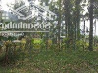 Do Chuyển Công Tác, Chính Chủ Gửi Bán Lô Đất 2800M Có 200M Thổ Cư, View Núi Đồi, Sẵn Khuôn Viên