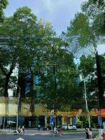 Chuyển Nhượng-Mặt Tiền Nguyễn Đình Chiểu - Dt:21X41M - 2 Hầm 14 Tầng - Giá: 1.500 Tỷ Thương Lượng