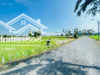 Bán Gấp Đất Nền Chính Chủ Sổ Hồng 244M2 Tại Mỹ Lệ, Cần Đước, Long An, Giá Bán 2,5 Tỷ