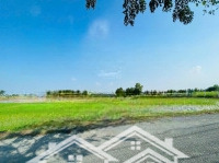 Bán Gấp Đất Nền Chính Chủ Sổ Hồng 244M2 Tại Mỹ Lệ, Cần Đước, Long An, Giá Bán 2,5 Tỷ