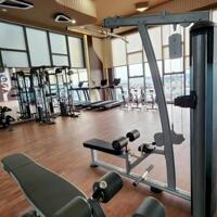 Cho thuê căn hộ Phú Đông Sky Garden 8 tr/th; full nội thất 10.5 tr/th