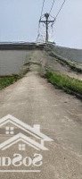 Lô Hoa Hậu 42M2 Sát Khu Đấu Giá Nguyên Khê - Ô Tô 7 Chỗ Đỗ - Ngõ Thông