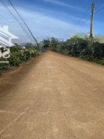 Siêu Phẩm 1000M2 Tặng Nguyên Biệt Thự Siêu Đẹp Tại Trung Tâm Khu Bàn Cờ Xã Liên Hiệp, Chỉ 5,1 Tỷ