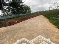 Siêu Phẩm 1000M2 Tặng Nguyên Biệt Thự Siêu Đẹp Tại Trung Tâm Khu Bàn Cờ Xã Liên Hiệp, Chỉ 5,1 Tỷ