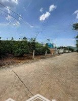 Siêu Phẩm 1000M2 Tặng Nguyên Biệt Thự Siêu Đẹp Tại Trung Tâm Khu Bàn Cờ Xã Liên Hiệp, Chỉ 5,1 Tỷ