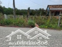 Bán Gấp Đất Tại Xã Bàu Đồn, Gò Dầu, Tây Ninh, 1,05 Tỷ, 239M2