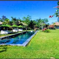 Cần chuyển nhượng dự án 20ha đất làm du lịch sinh thái Hòa Hiệp Bắc, Liên Chiểu, Đà Nẵng.